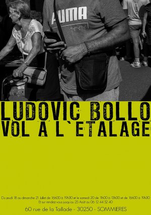 Expo Ludovic BOLLO "vol  l'talage"