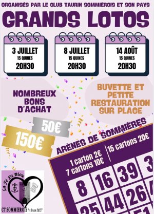 Grands lotos d'été du CTS Grands lotos d'été du CTS