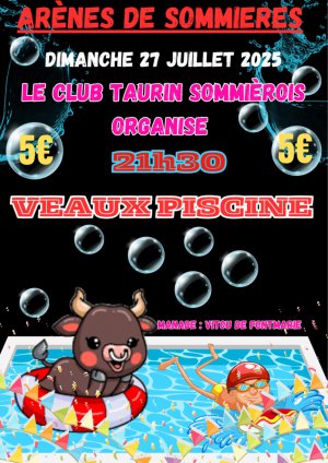 Veaux piscine Veaux piscine
