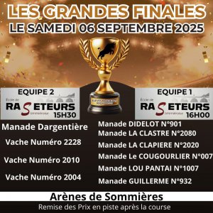 Finales de l'école des raseteurs Finales de l'école des raseteurs