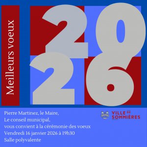 C�r�monie des voeux du Maire