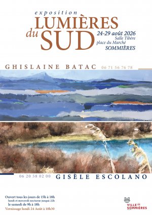 Lumi�res du Sud