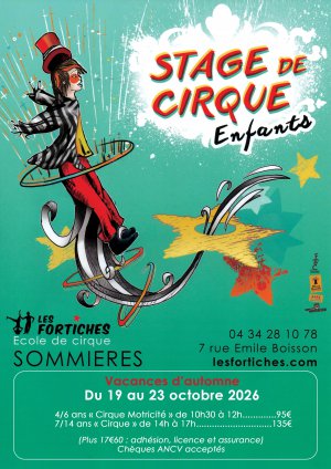 Stage de cirque