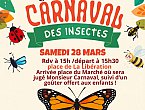 Le CARNAVAL des insectes