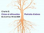 Cimes et Silhouettes - Portaits d'arbres