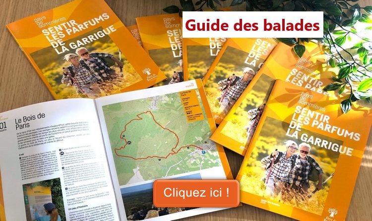 Guide des balades