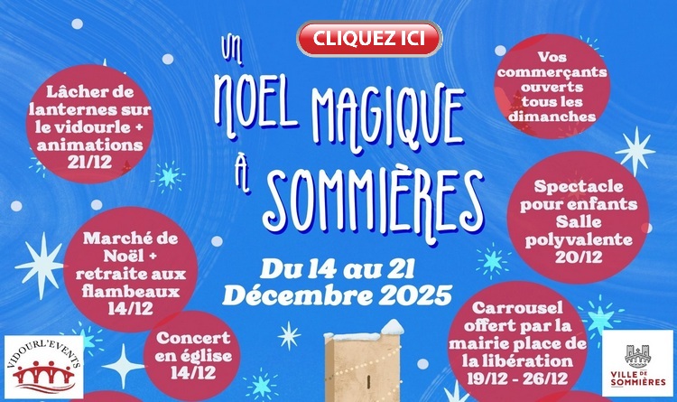 Un nol magique  Sommires
