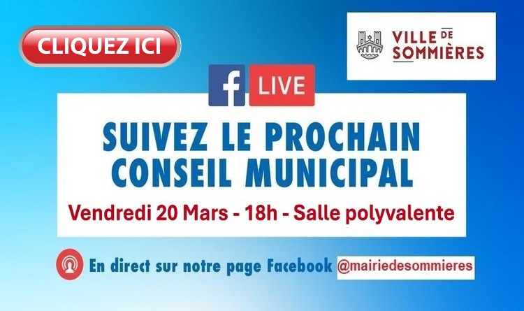 Conseil municipal