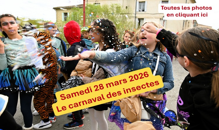 Carnaval des insectes Carnaval des insectes