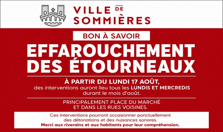 �tourneaux