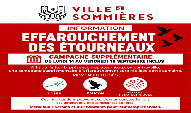 Etourneaux