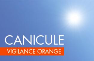 Vigilance orange pour canicule Vigilance orange pour canicule