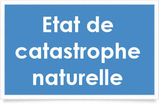 Reconnaissance de catastrophe naturelle Reconnaissance de catastrophe naturelle
