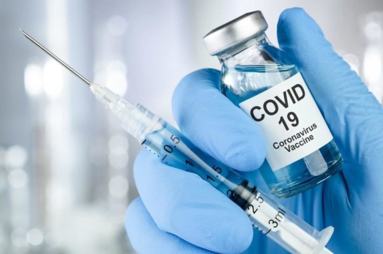 Vaccination Covid 19 Vaccination Covid 19