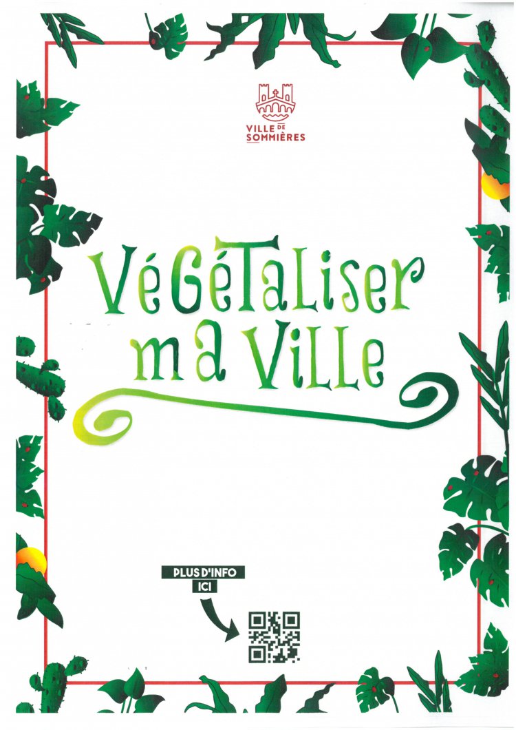 Permis de végétaliser Permis de végétaliser