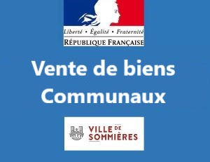 Biens communaux  vendre