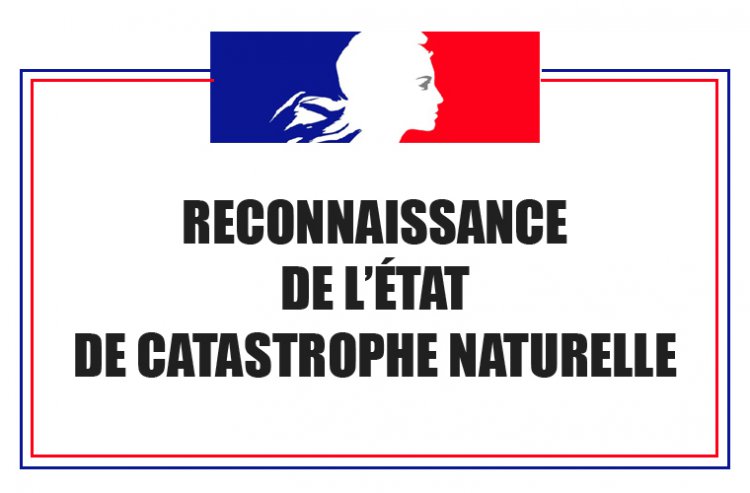 Reconnaissance de catastrophe naturelle