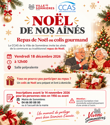 NO�L DE NOS A�N�S REPAS FESTIF OU COLIS GOURMAND