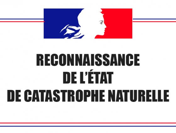 Reconnaissance de catastrophe naturelle