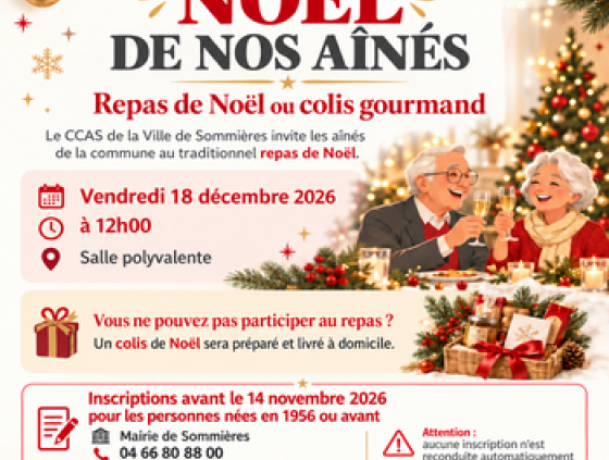 NO�L DE NOS A�N�S REPAS FESTIF OU COLIS GOURMAND