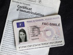 Dématérialisation des procédures relatives aux certificats d'immatriculation et aux permis de conduire Dématérialisation des procédures relatives aux certificats d'immatriculation et aux permis de conduire