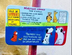 LUTTE CONTRE LES DJECTIONS CANINES
