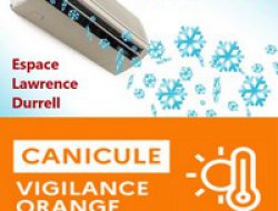 VIGILANCE ORANGE CANICULE