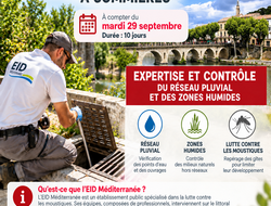 Intervention de lEID M�diterran�e � Sommi�res
