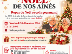 NO�L DE NOS A�N�S REPAS FESTIF OU COLIS GOURMAND