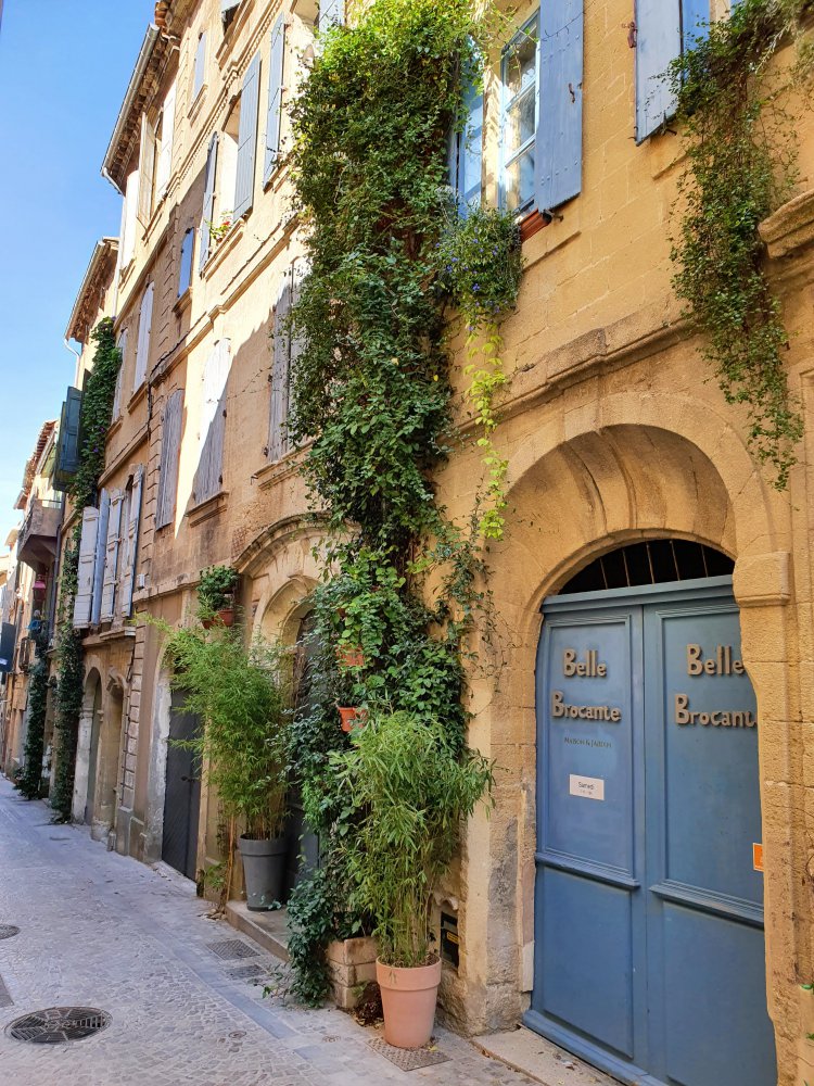 Amnagement paysager rue de la taillade : 1635145519.20211013_144945.jpg