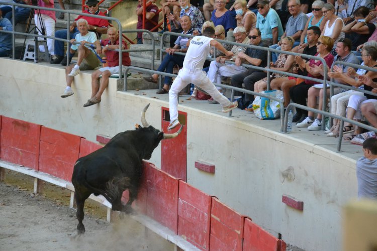 Coup de barrire aux arnes "Gilles ARNAUD" : 1635145916.dsc_0048.jpg