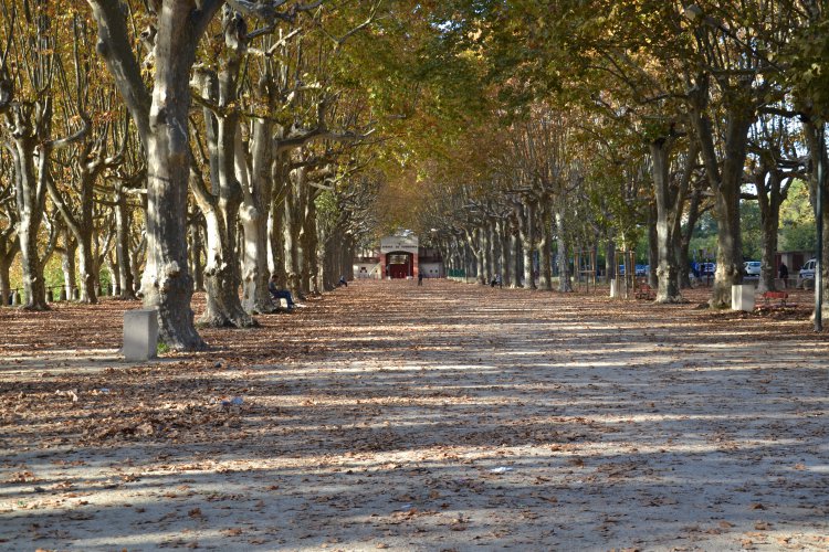 L'esplanade aux couleurs de l\'Automne : 1636465690.dsc_0115.jpg
