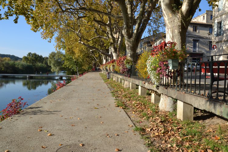 Les berges du Vidourle : 1636465792.dsc_0102.jpg