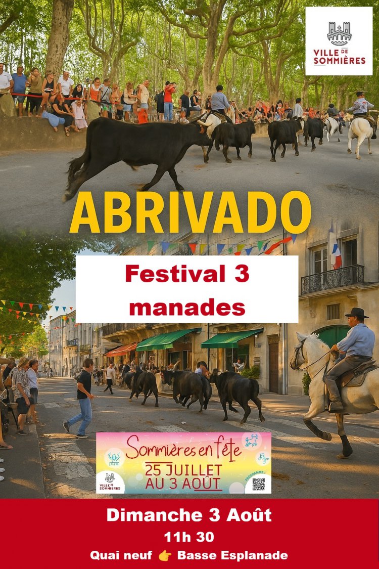 Le programme de la fte votive du 25 juillet au 3 aot 2025 Festival d'Abrivados : 1753871181.25.2.3.aout.festival.abrivado.jpg