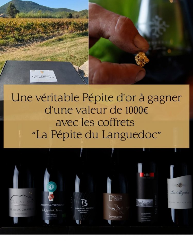 19me salon des vins - VINUM : 1764253225.588648918_18062402102541694_9075572815477746116_n.jpeg