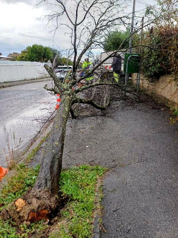 21, 22 et 23 d�cembre - Vidourlades Lundi 22 d�cembre et mardi 23 d�cembre - 2�me crue du Vidourle : 1766501380.image0000011.12.jpg