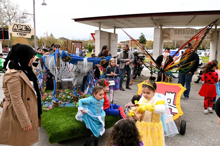 Samedi 28 Mars 2026 - Le carnaval des insectes Samedi 28 Mars 2026 - Le carnaval des insectes : 1774965181.dsc_0288.jpg