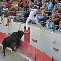 Coup de barri�re aux ar�nes "Gilles ARNAUD"