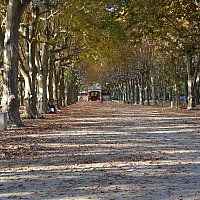 L'esplanade aux couleurs de l\'Automne
