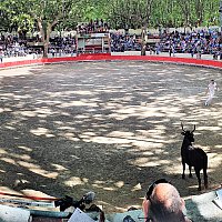 Course camarguaise aux ar�nes "Gilles ARNAUD"