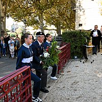 Crmonie armistice du 11 novembre