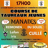 Course de taureaux jeunes - CTLP