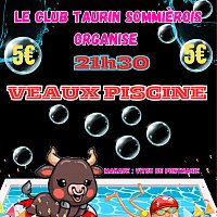 Veaux piscine