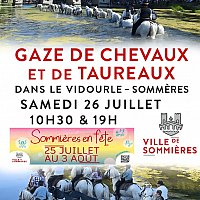 Gaze de taureaux et de chevaux