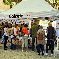6-09-25 Matine des associations