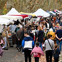 16 novembre 2025 - Foire gourmande et artisanale