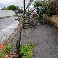 Lundi 22 d�cembre et mardi 23 d�cembre - 2�me crue du Vidourle