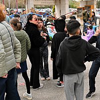 Samedi 28 Mars 2026 - Le carnaval des insectes