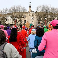 Samedi 28 Mars 2026 - Le carnaval des insectes