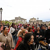 Samedi 28 Mars 2026 - Le carnaval des insectes